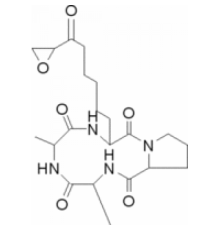 Токсин HC из Helminthosporium carbonumlyophilized порошок Sigma H7270