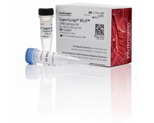 Набор SuperScript VILO cDNA Synthesis Kit, Thermo FS