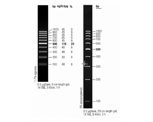Маркер длин ДНК GeneRuler 100 bp, 10 фрагментов от 100 до 1000 п.н., готовый к применению, 0,5 мкг/мкл, Thermo FS