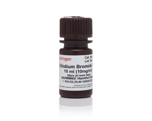 Краситель Ethidium Bromide, UltraPure, Thermo FS